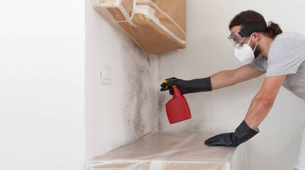 Professional Attic Mold Remediation technician working in Marlboro, NJ