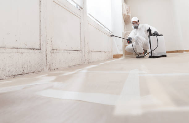 24/7 Emergency Attic Mold Remediation experts in Marlboro, NJ