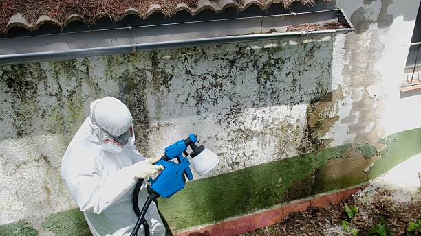 Top rated local Attic Mold Remediation specialists in Marlboro, NJ